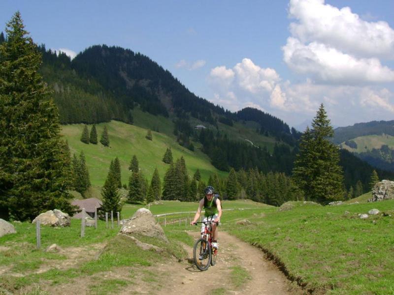 Chalet Murmeli Eigenthal Buitenkant foto