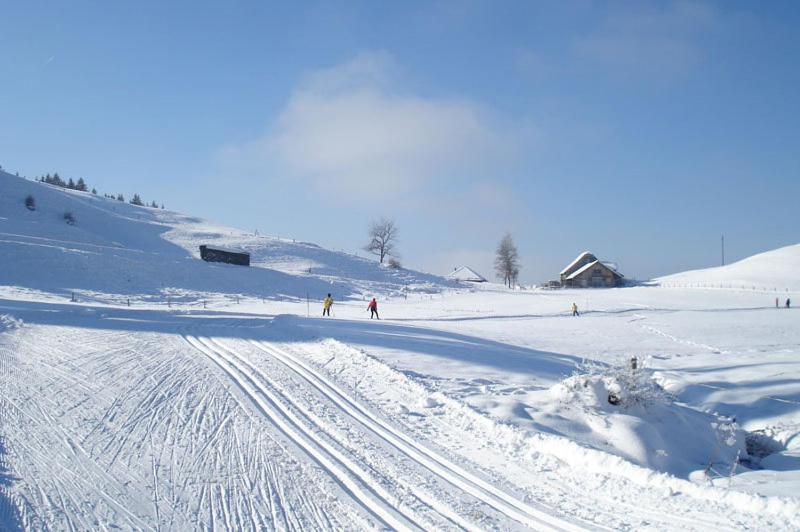 Chalet Murmeli Eigenthal Buitenkant foto